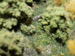 004_eck_sturm_1005