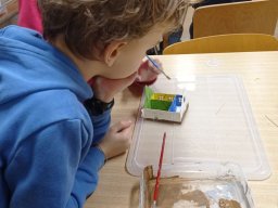 Jugendprojekt Einfamilienhaus